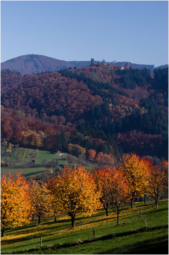 Herbstfarben