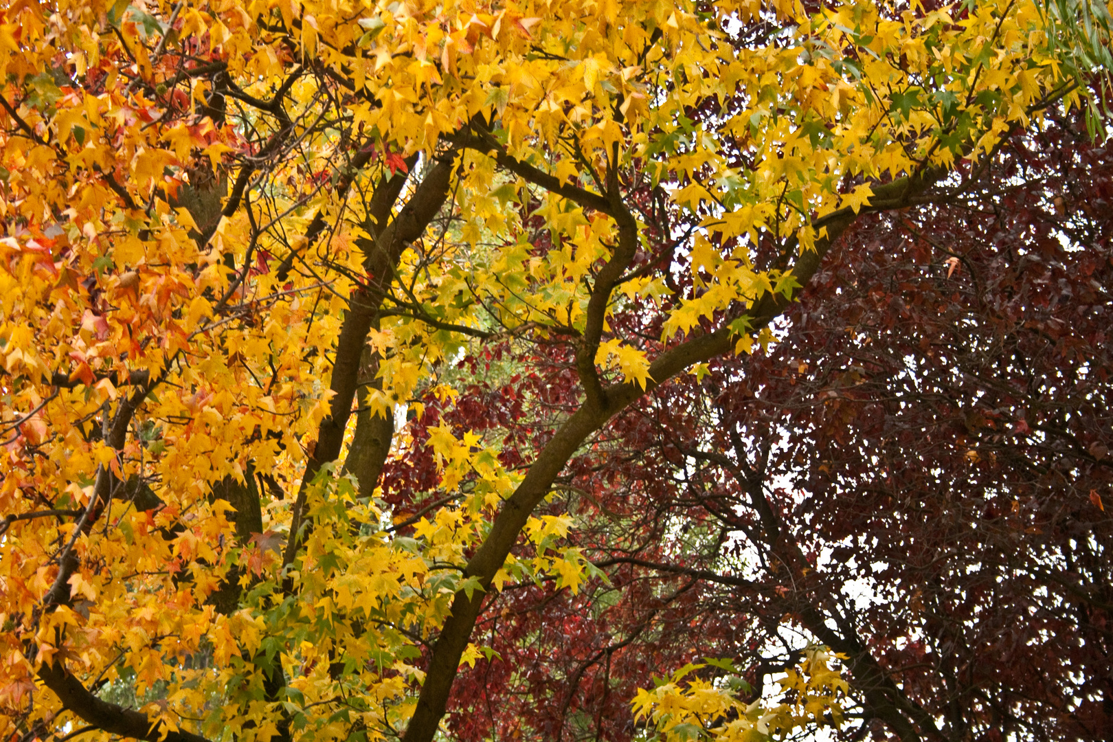 Herbstfarben