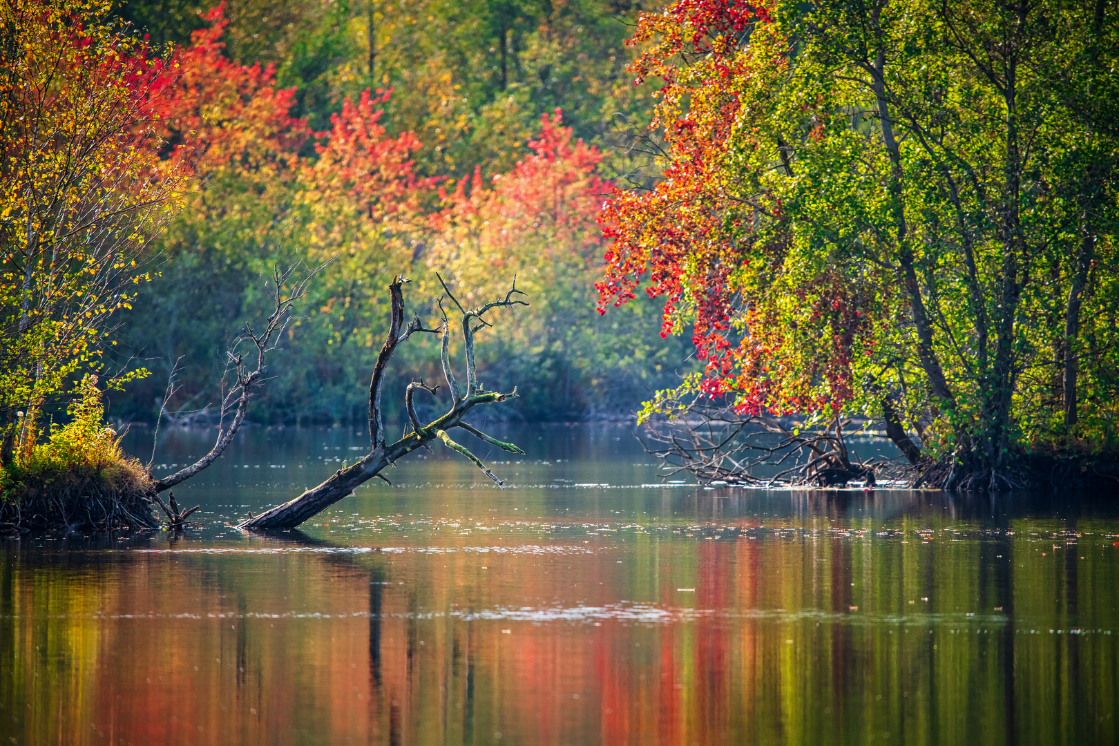 Herbstfarben