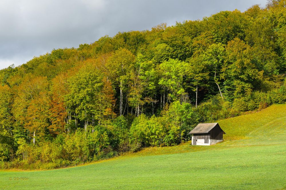 Herbstfarben 