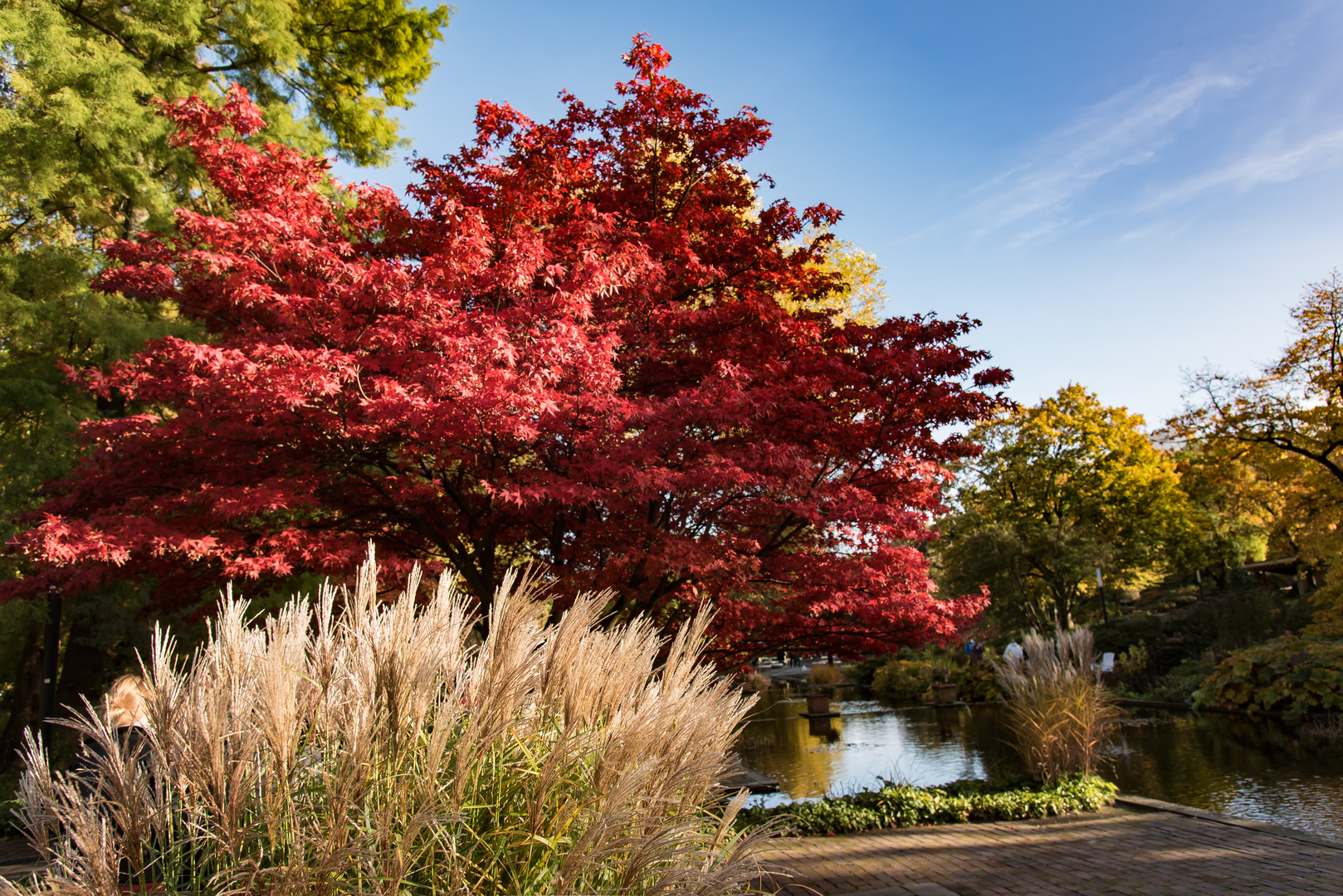 Herbstfarben