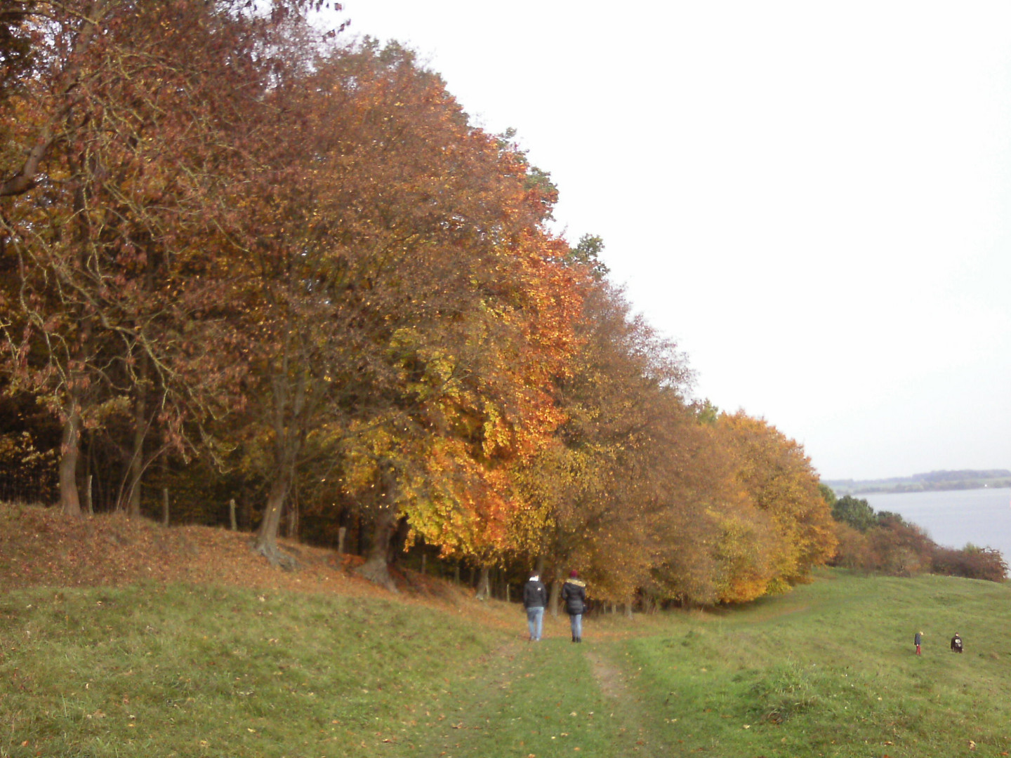 Herbstfarben bei einander