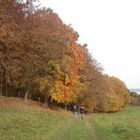 Herbstfarben bei einander