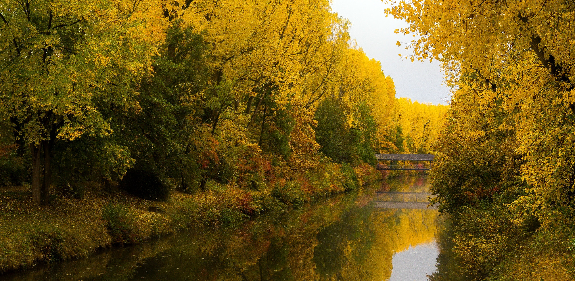 Herbstfarben bei Nieselregen