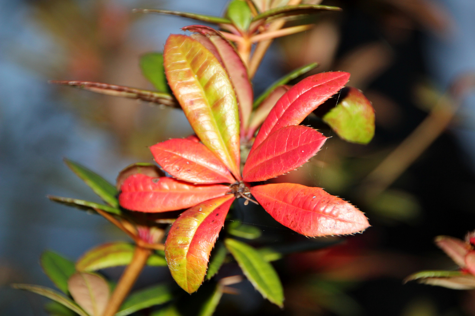 Herbstfarben