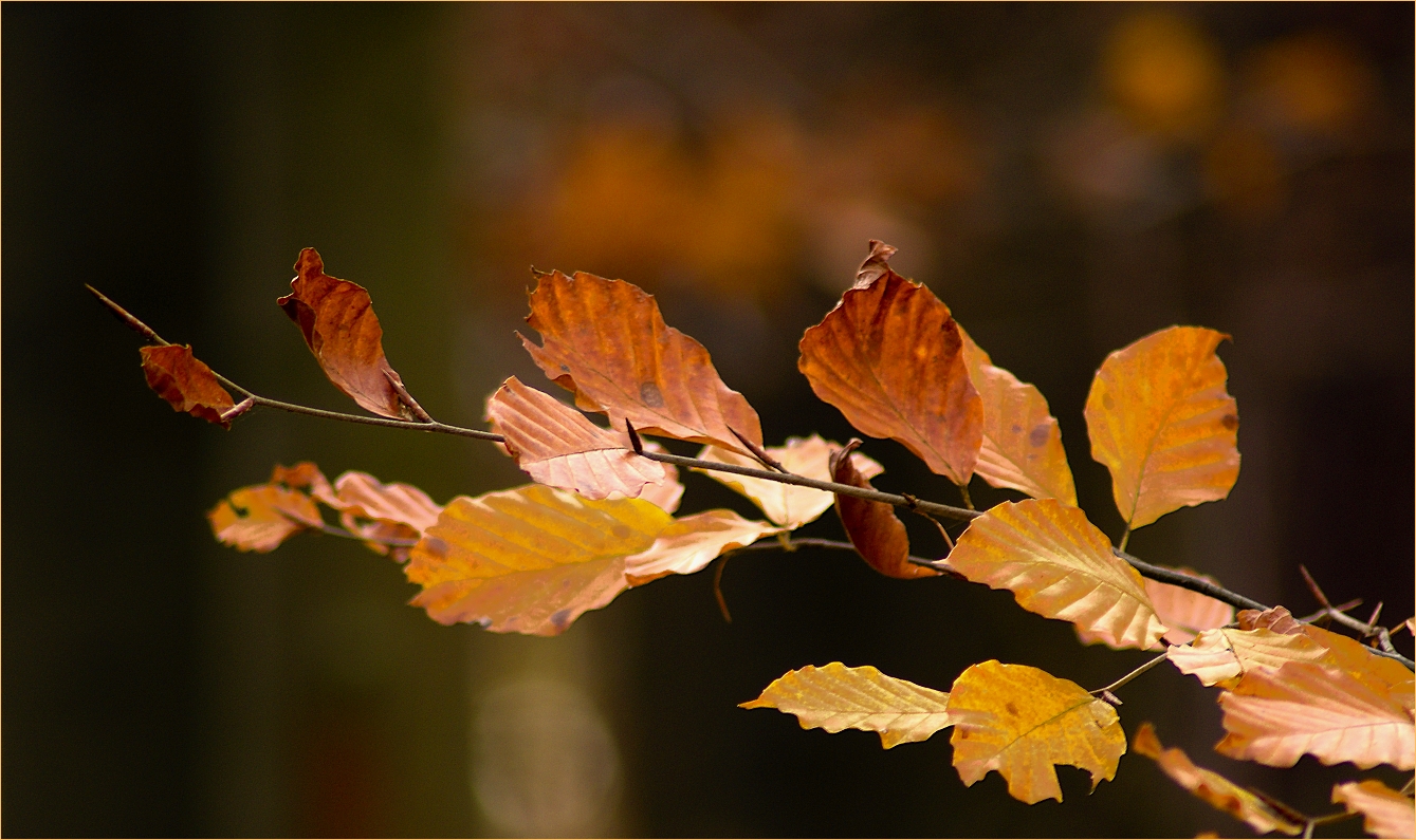 ~~Herbstfarben~~