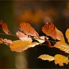 ~~Herbstfarben~~