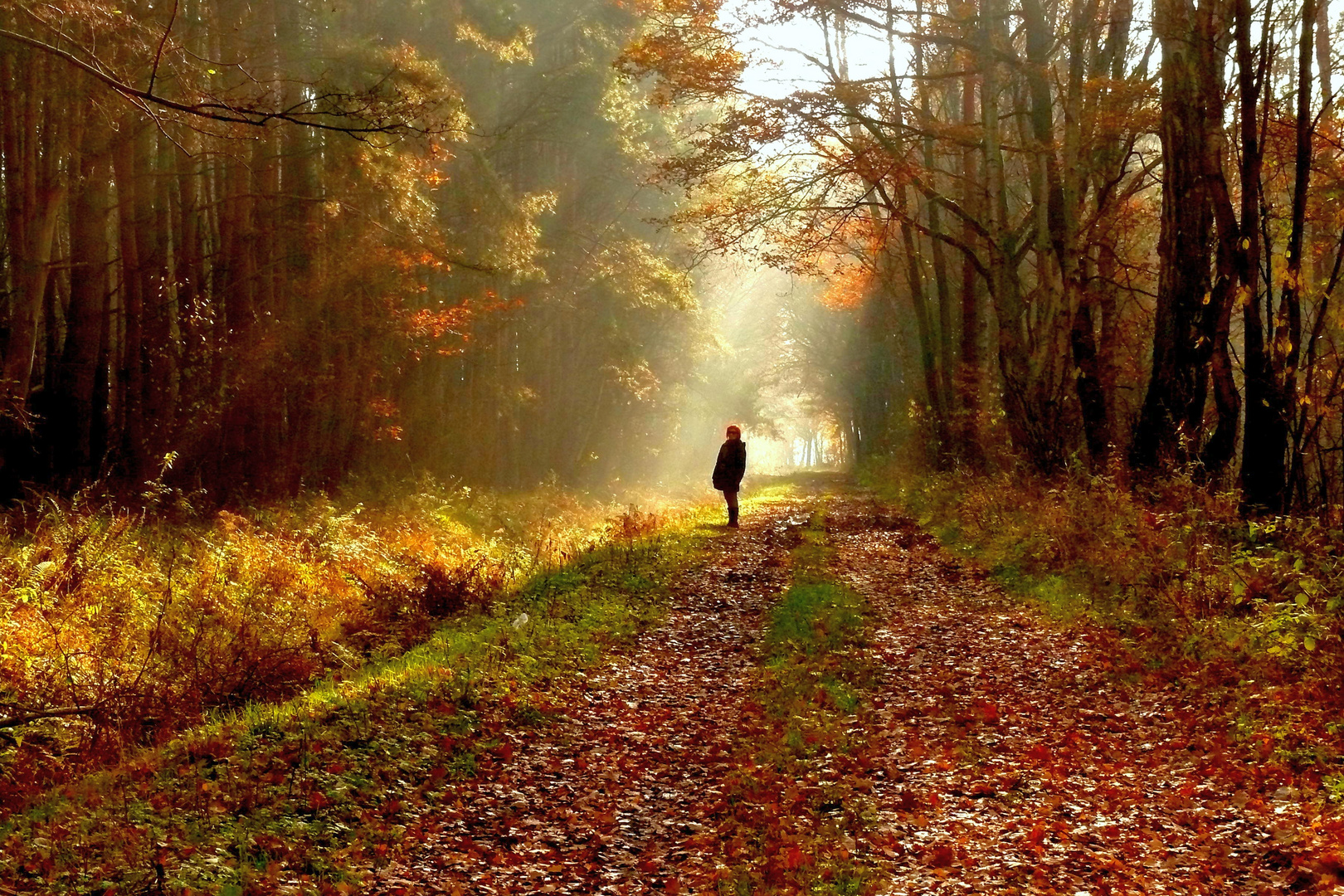 Herbstfarben, bis in die Haarspitzen...