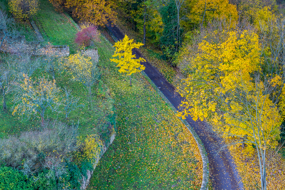 Herbstfarben: Blick von  der Wachtenburg bei Bad-Dürkheim