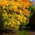 Herbstfarben