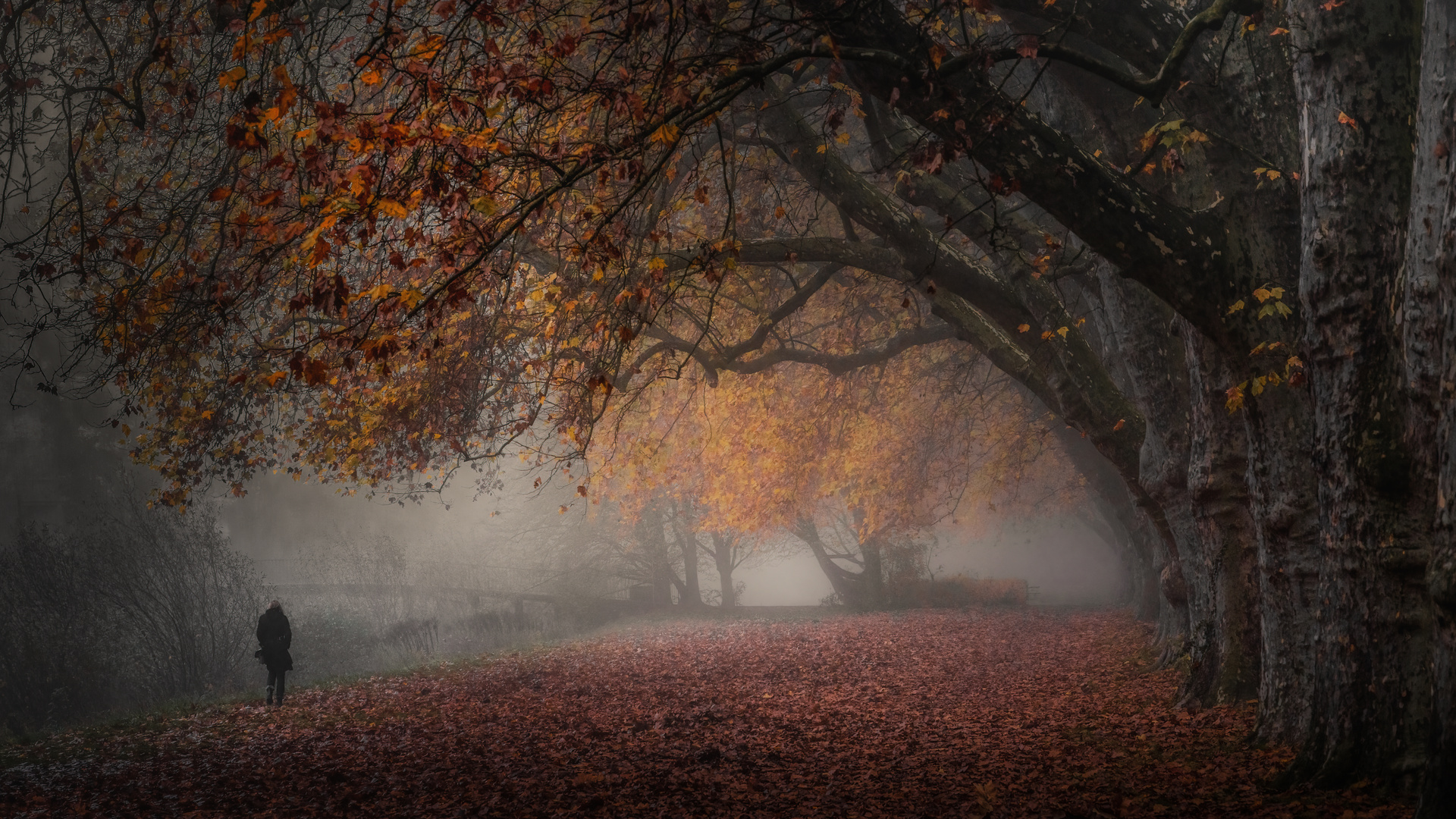 Herbstfarben