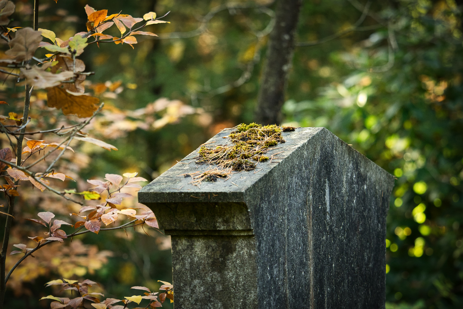 Herbstfarben