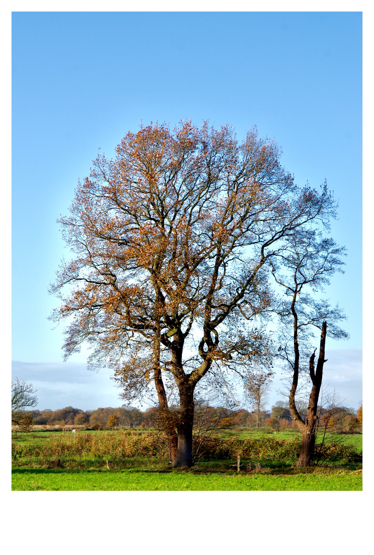 Herbstfarben