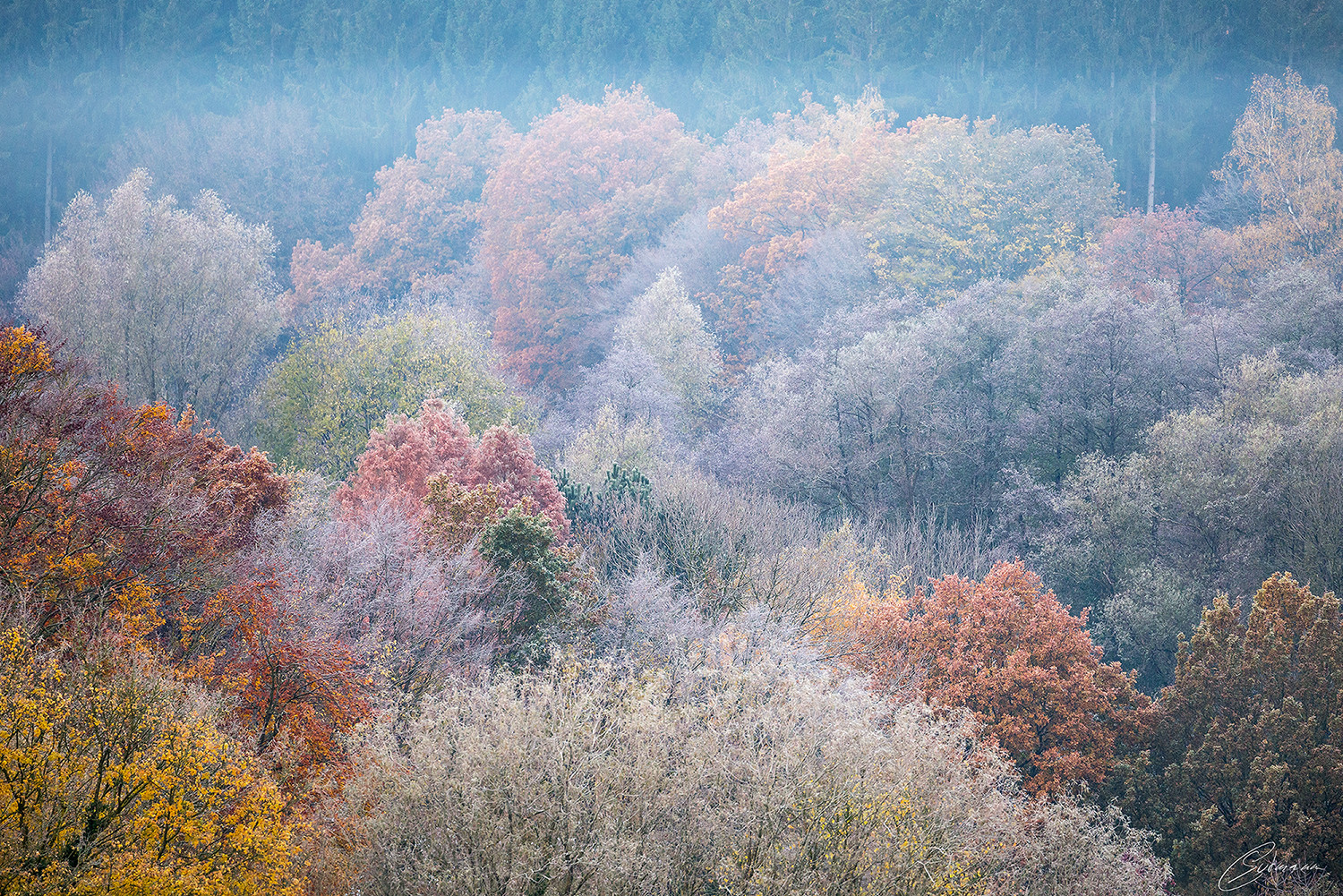 Herbstfarben