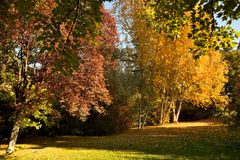 Herbstfarben