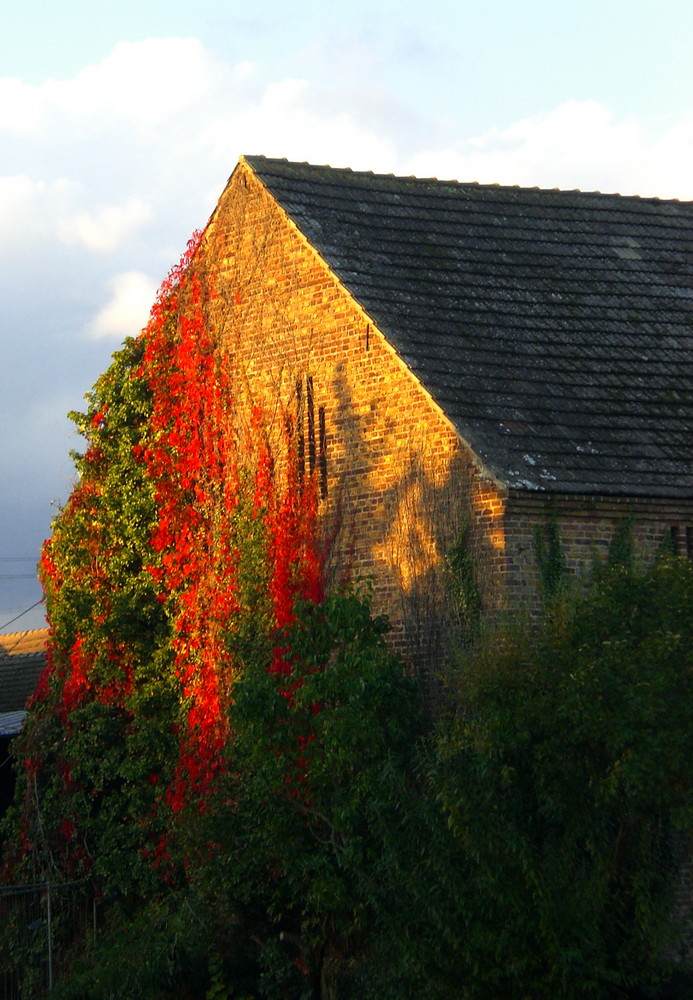 Herbstfarben