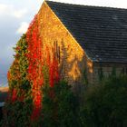 Herbstfarben