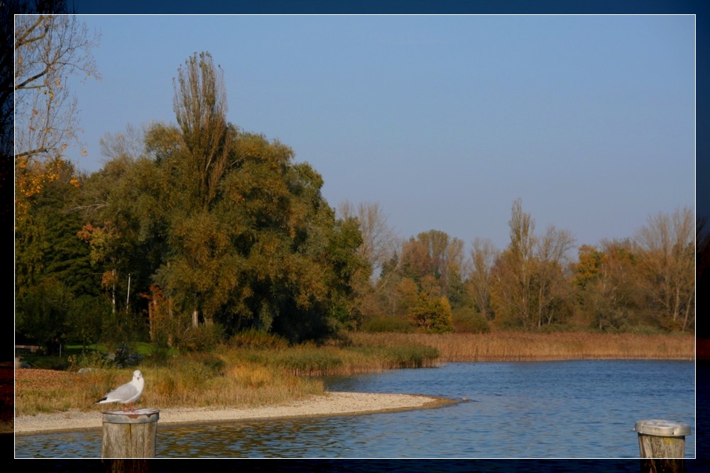 Herbstfarben