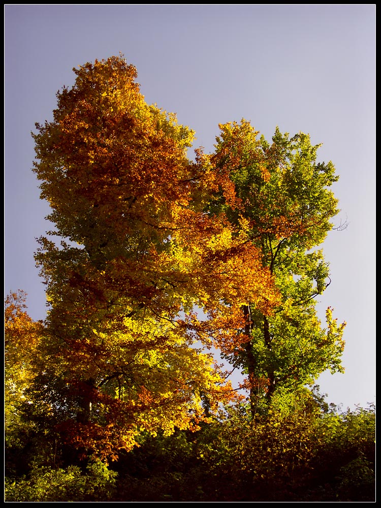 Herbstfarben