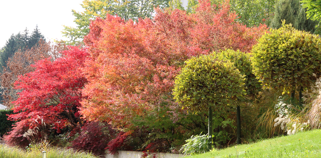 Herbstfarben 