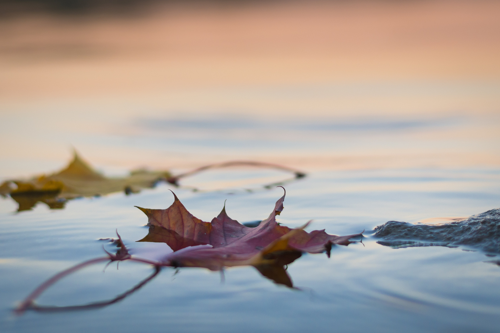 Herbstfarben