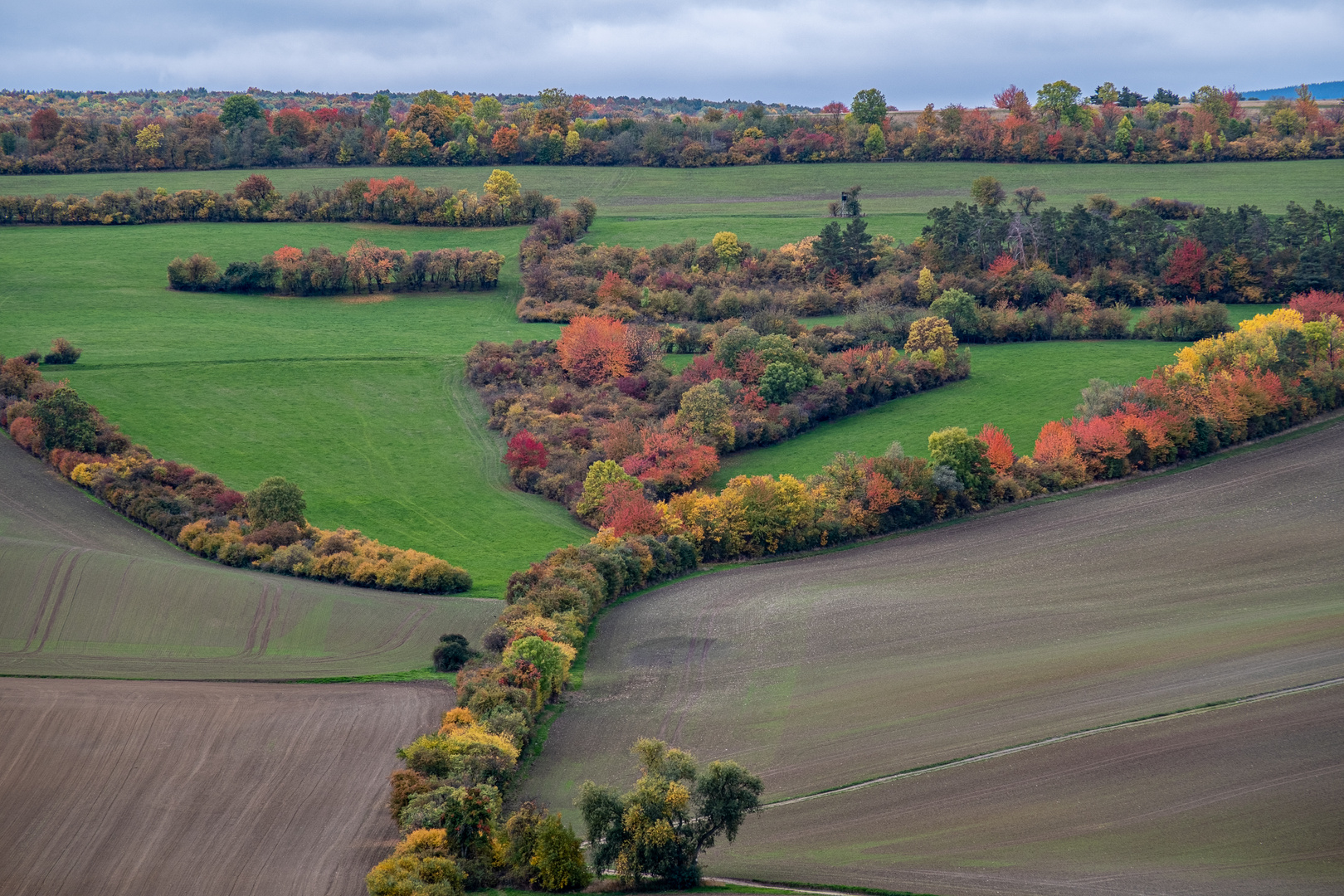 Herbstfarben