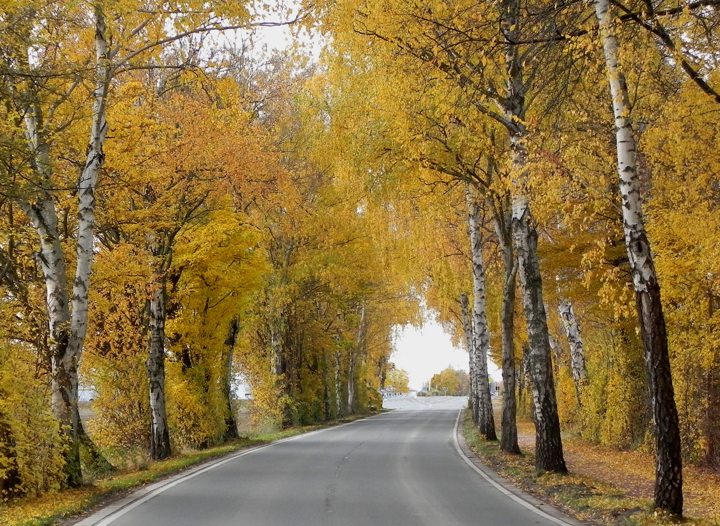 Herbstfarben