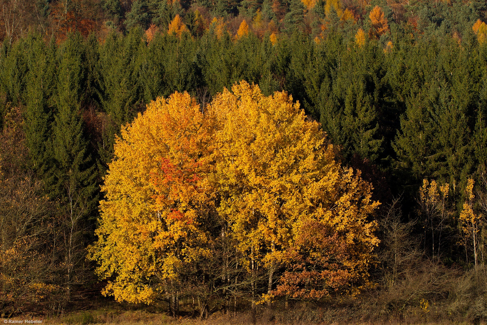 Herbstfarben