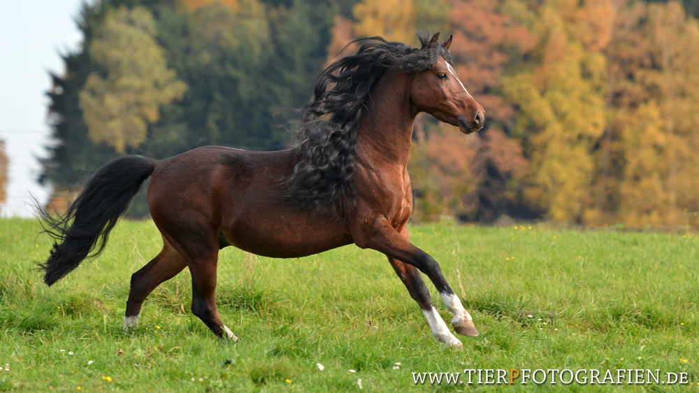 Herbstfarben