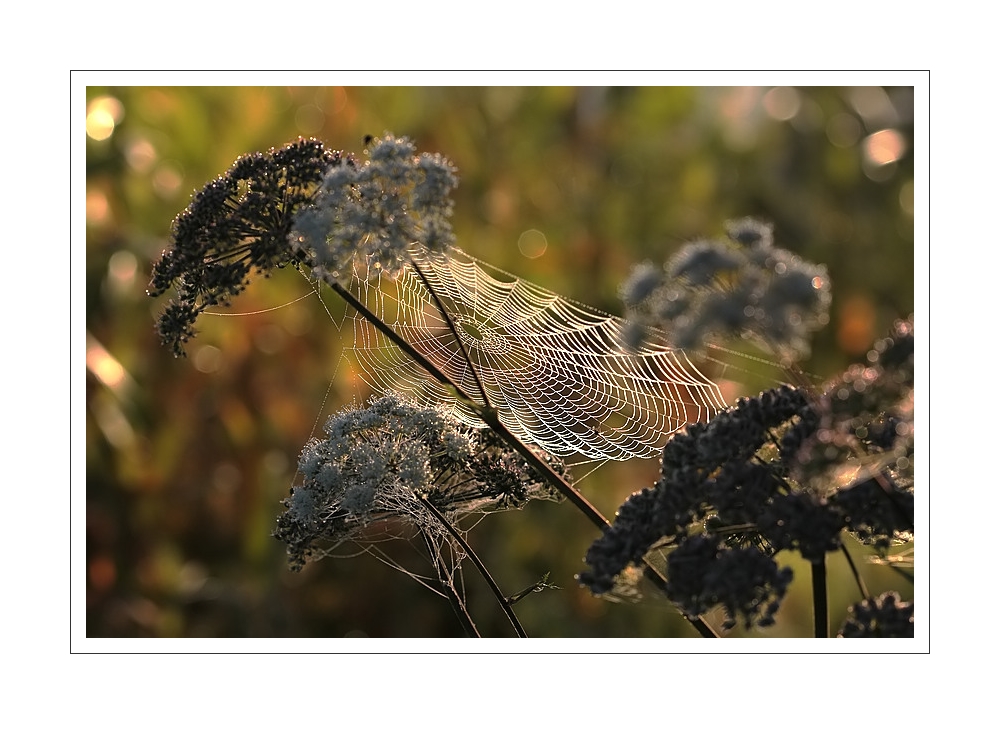 herbstfarben