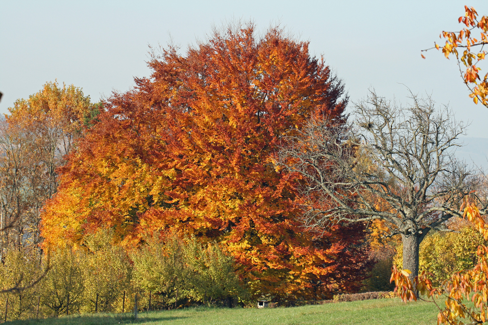 Herbstfarben