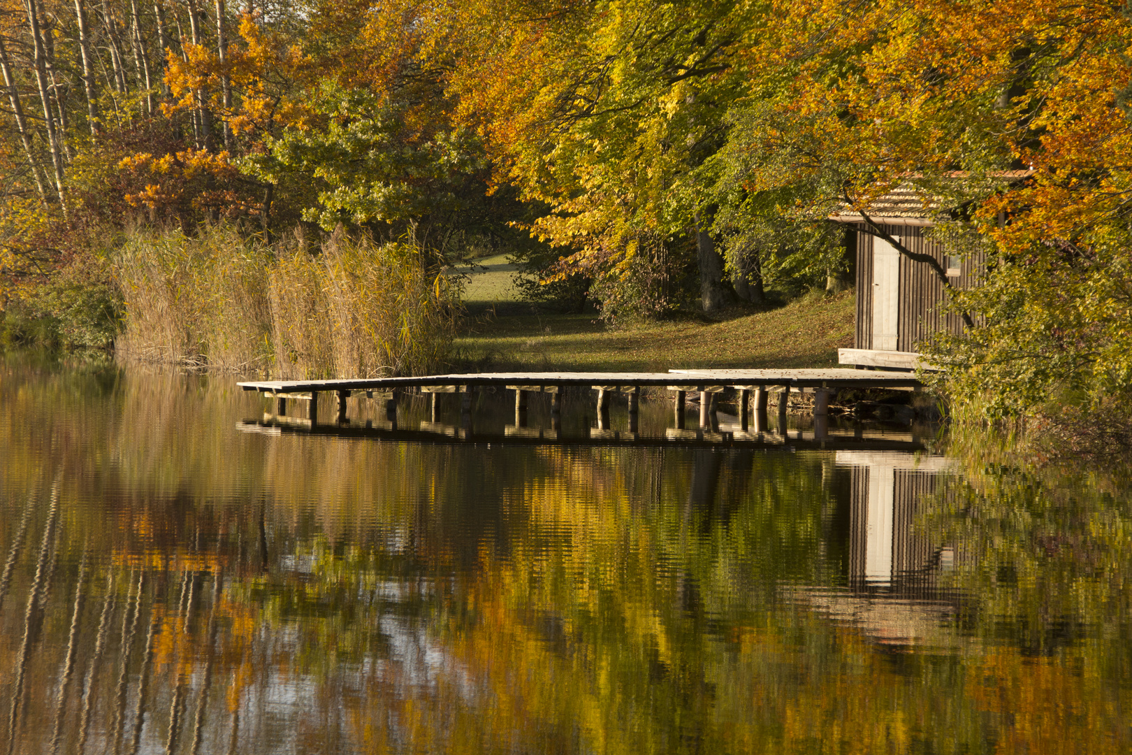 Herbstfarben