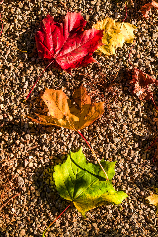 HerbstFarben