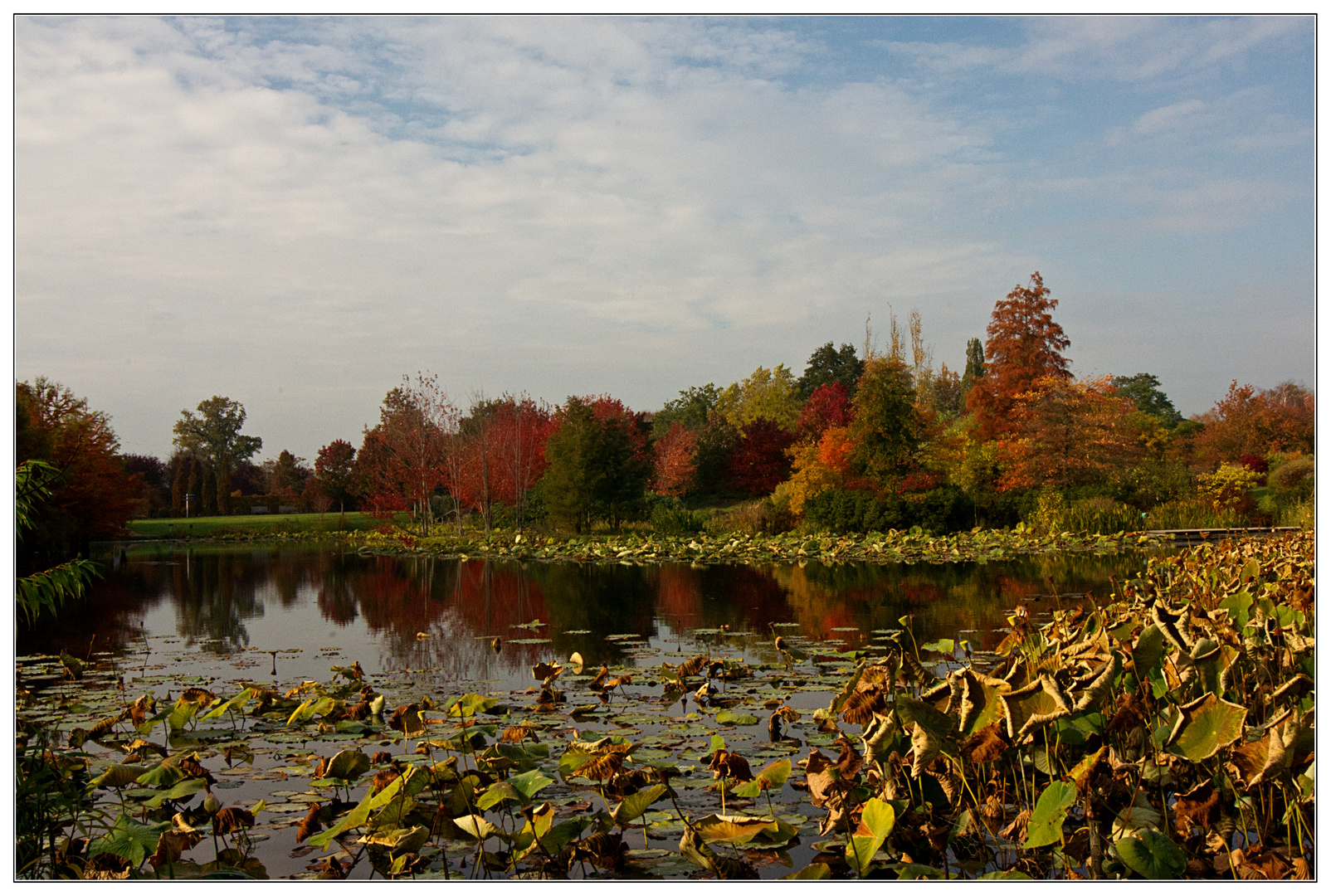 Herbstfarben