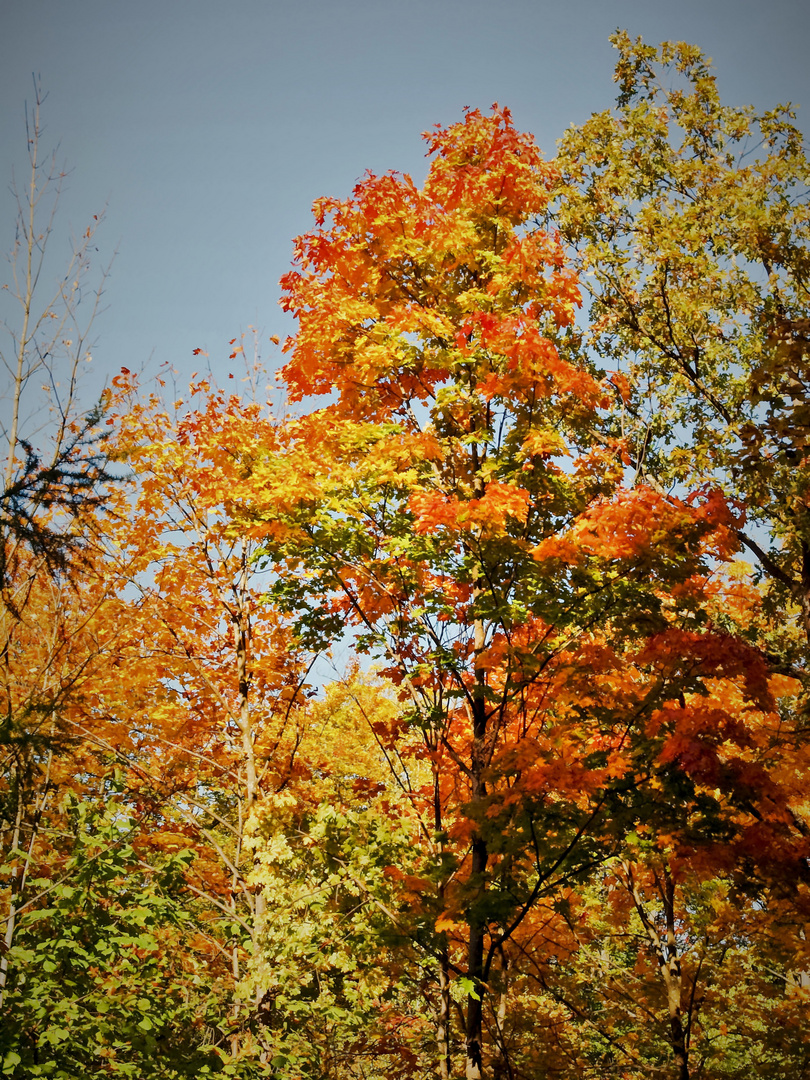 Herbstfarben