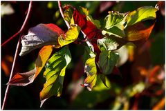 Herbstfarben