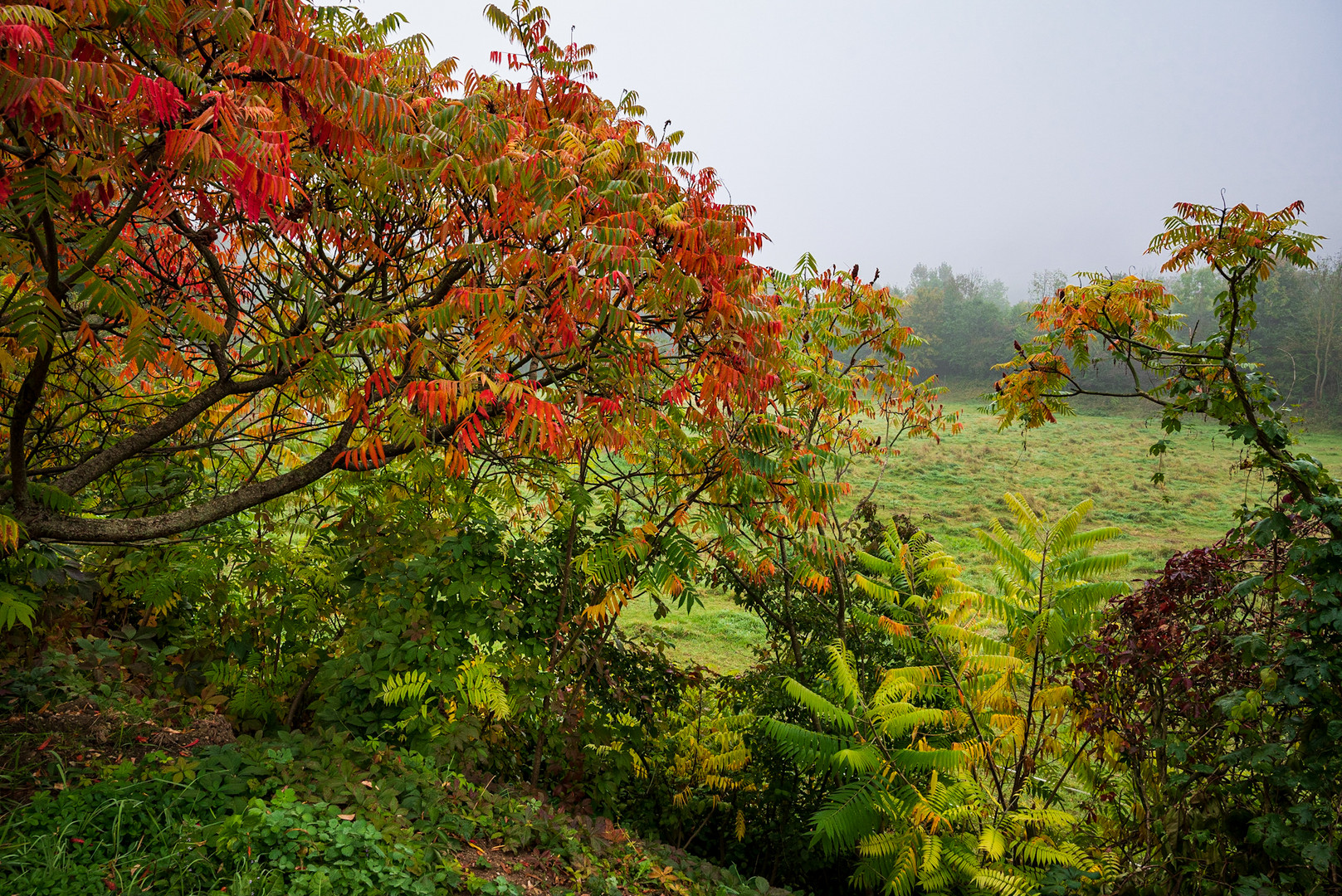 Herbstfarben