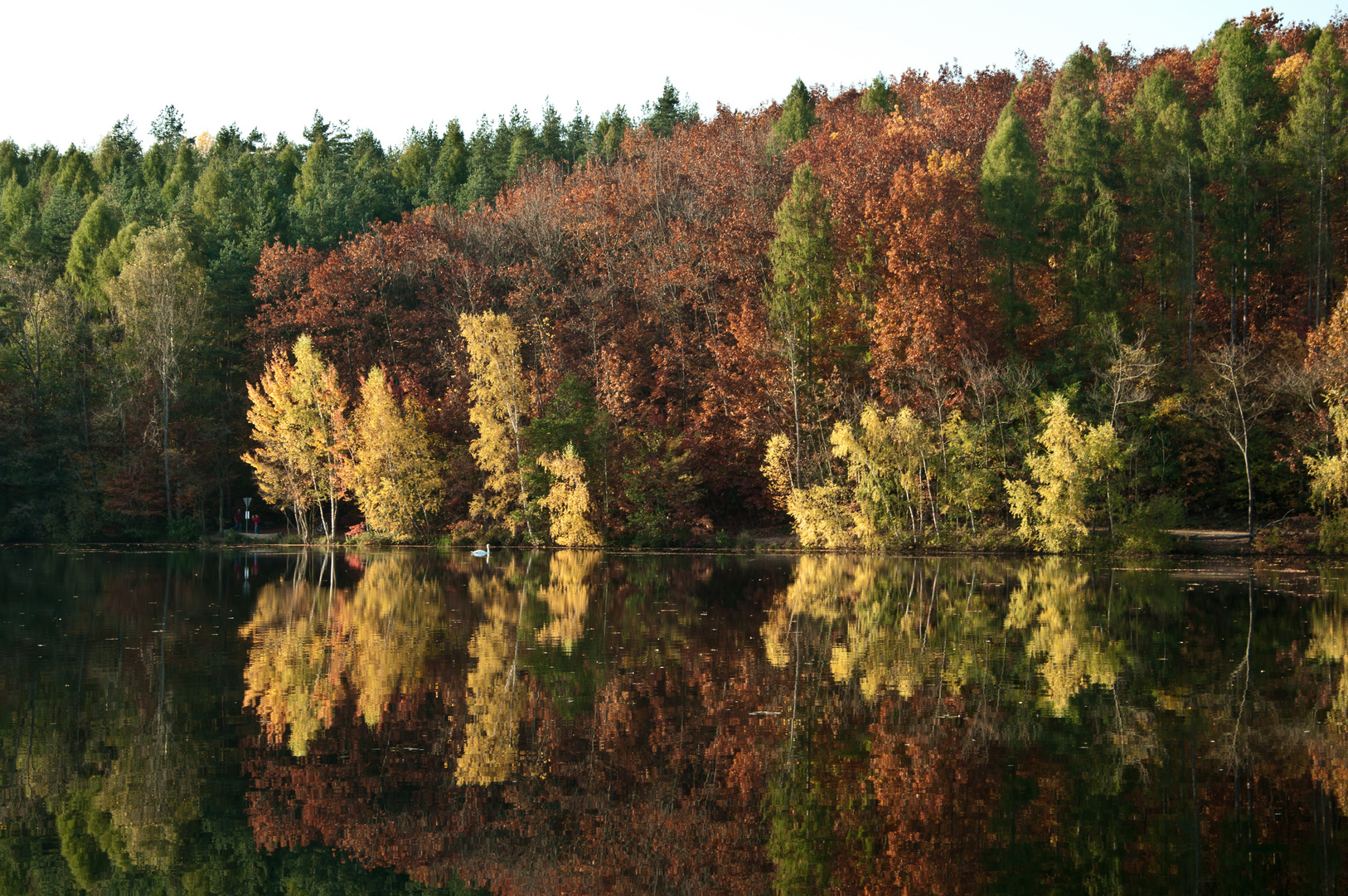 Herbstfarben!