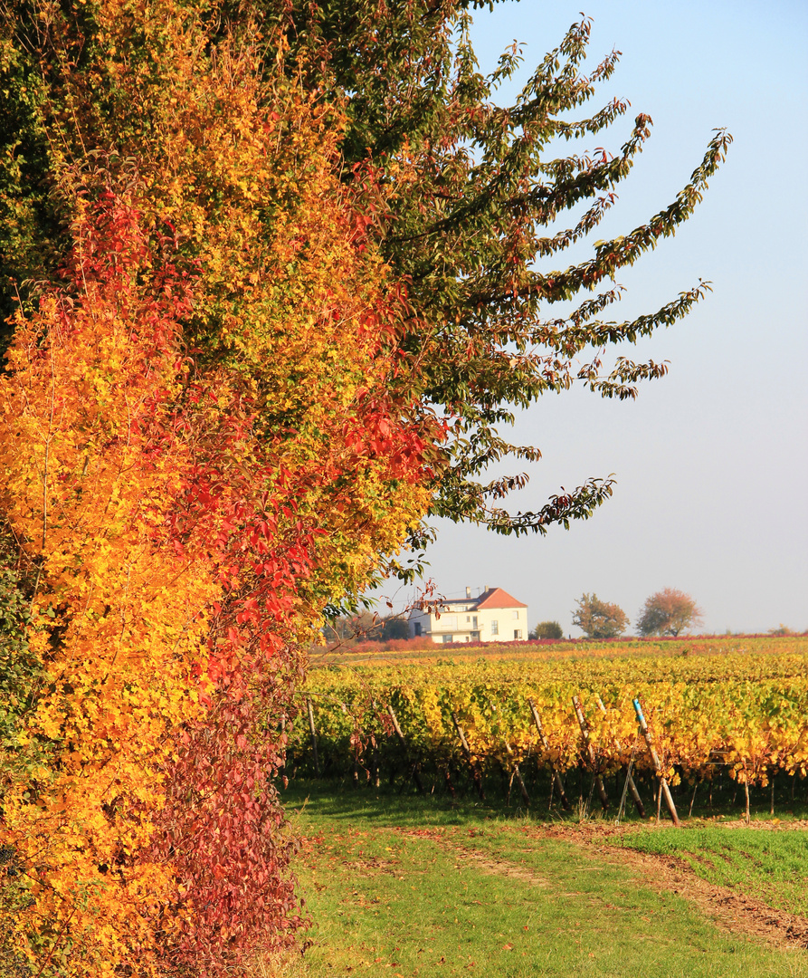 Herbstfarben