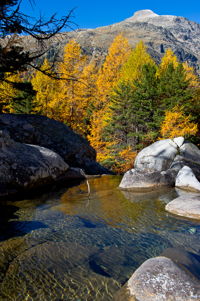 Herbstfarben