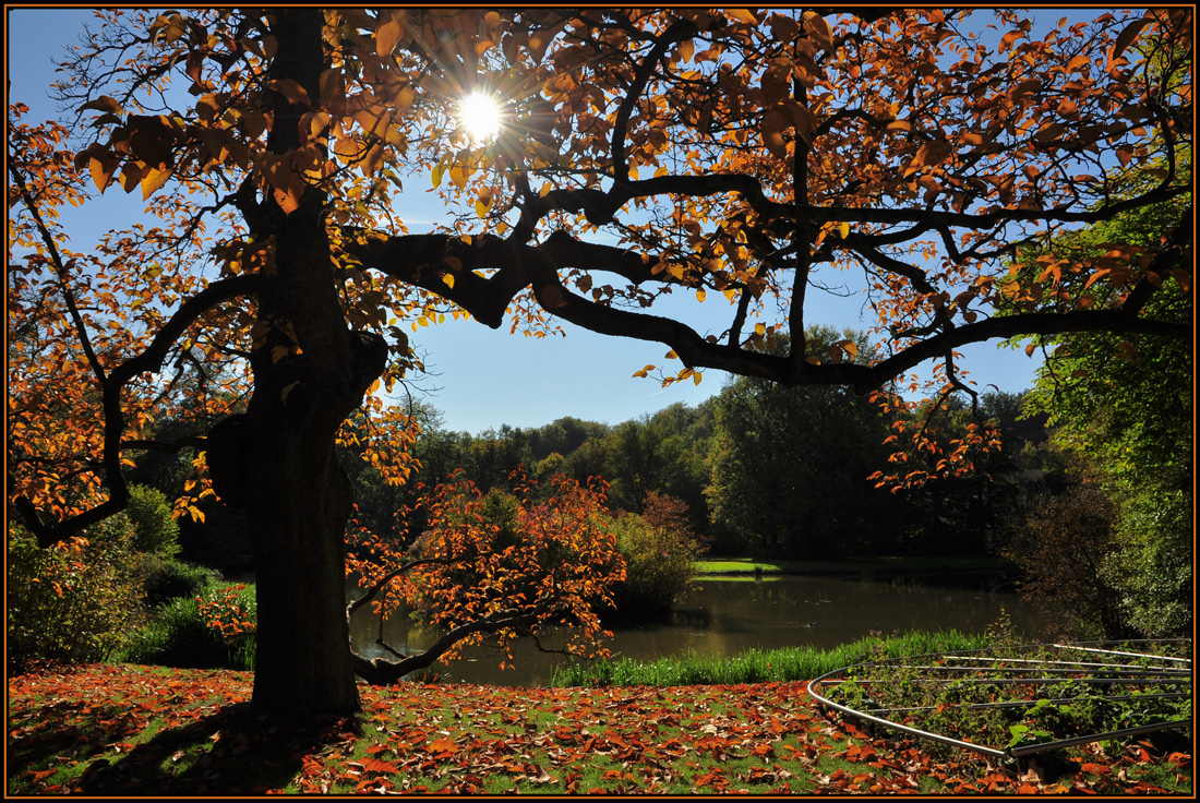 Herbstfarben