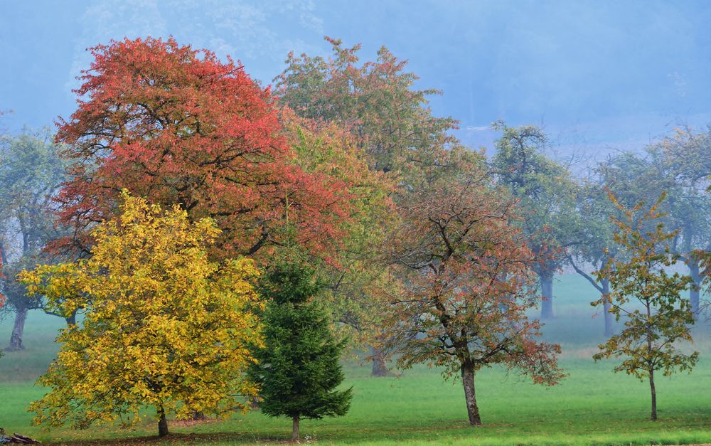 Herbstfarben