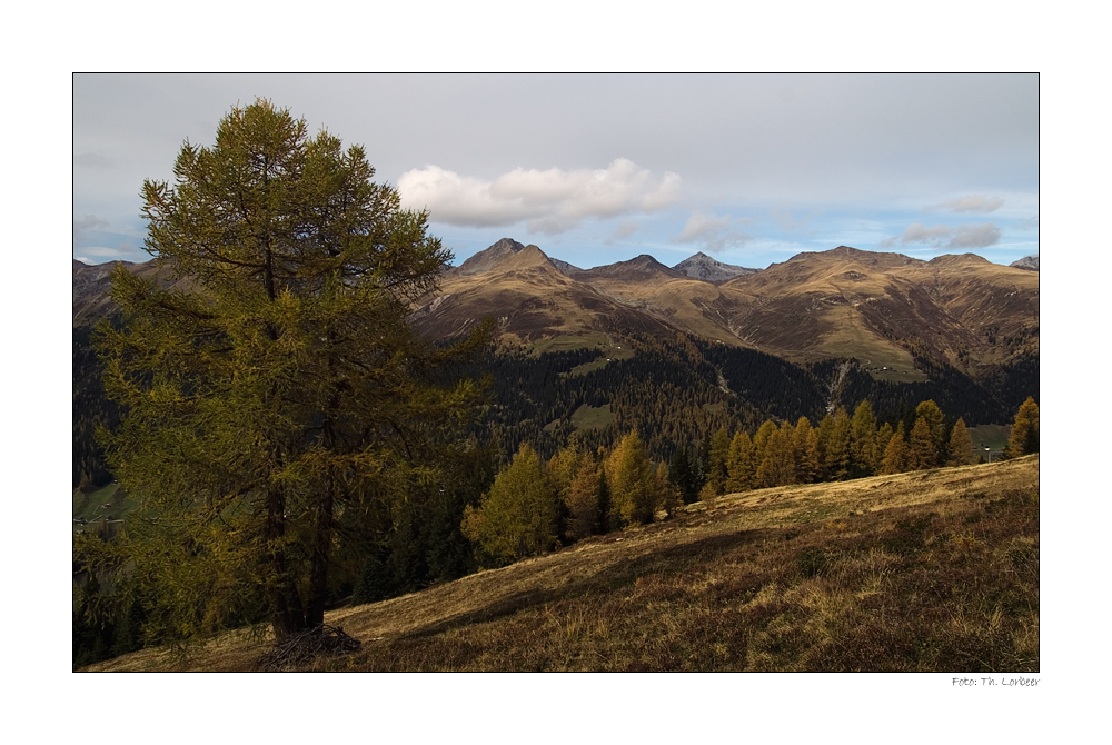 Herbstfarben