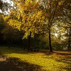 Herbstfarben