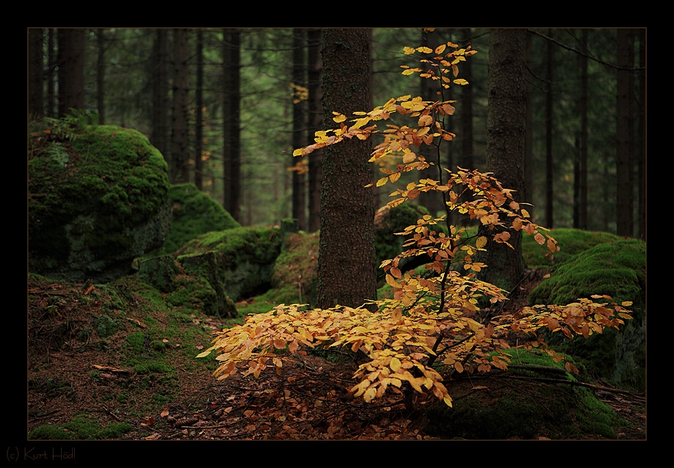 Herbstfarben