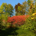 Herbstfarben