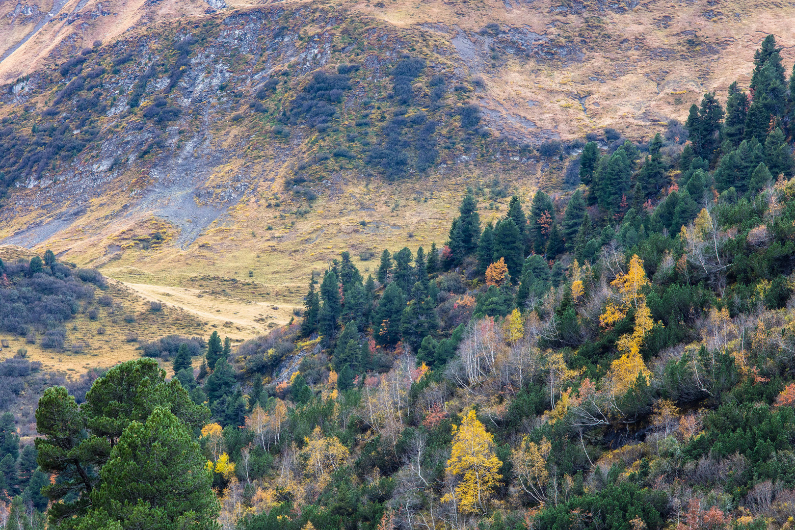 Herbstfarben...