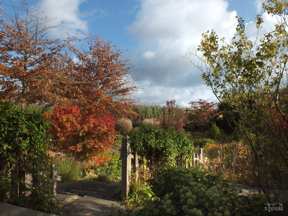 Herbstfarben