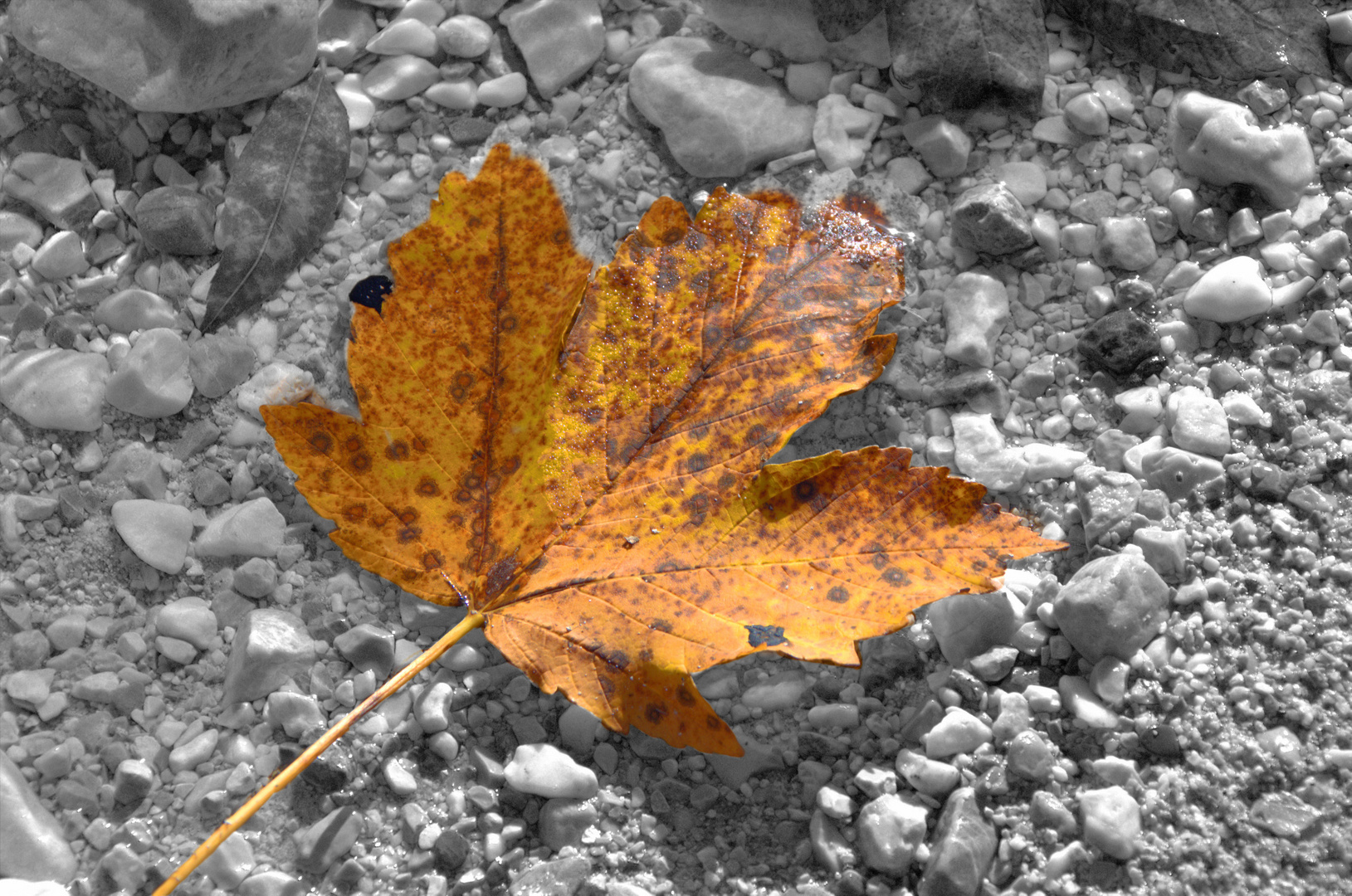 Herbstfarben Colorkey