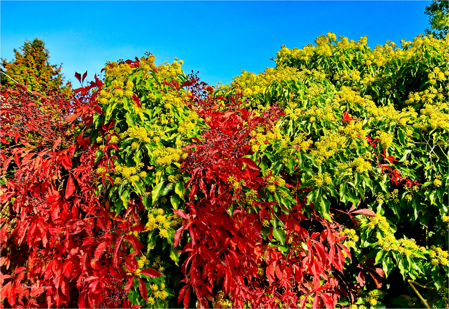 Herbstfarben...